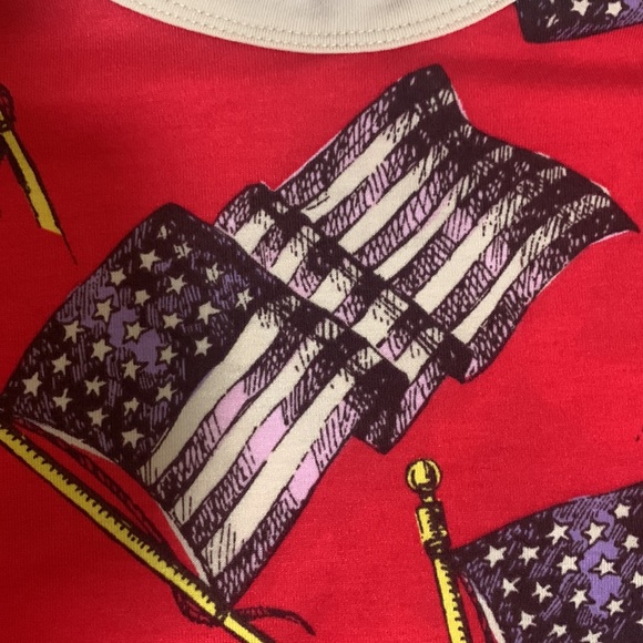 LuLaRoe Randy Flag Raglan size medium - Picture 3 of 3